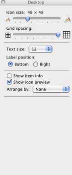 Desktop View Options in Snow Leopard