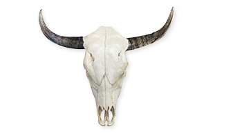 Irecé - extinct - Brazil