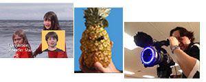 The Raw Pineapple Trilogy