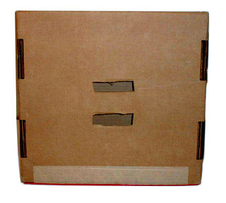 Ice Age Pizza Box (underneath)