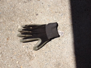 gift from cat: a single glove